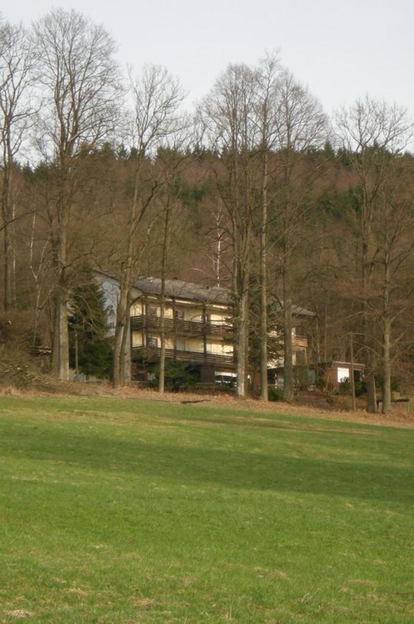 Ferienhaus Napoleon Waldmünchen Buitenkant foto